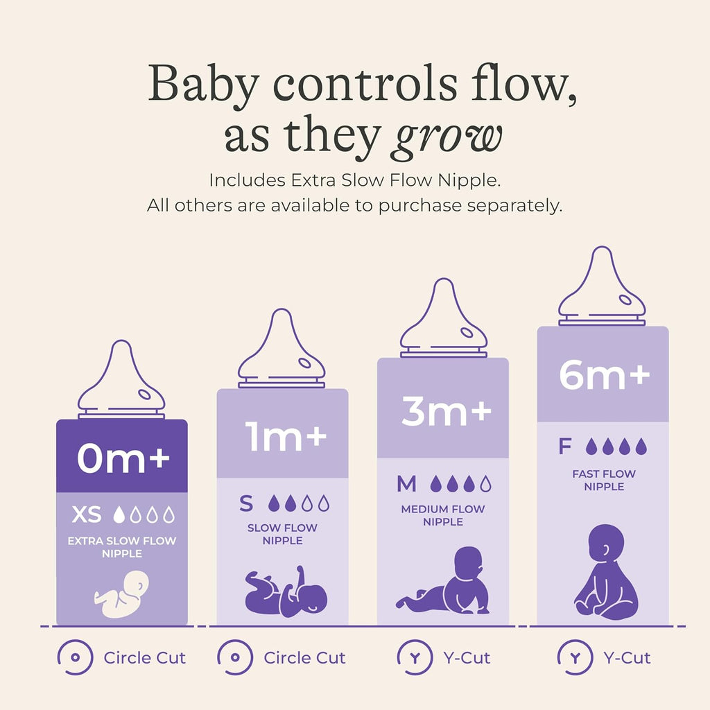 Lansinoh Anti-Colic Glass Baby Bottles, Purple Collar, 5 Ounces, 4 Count