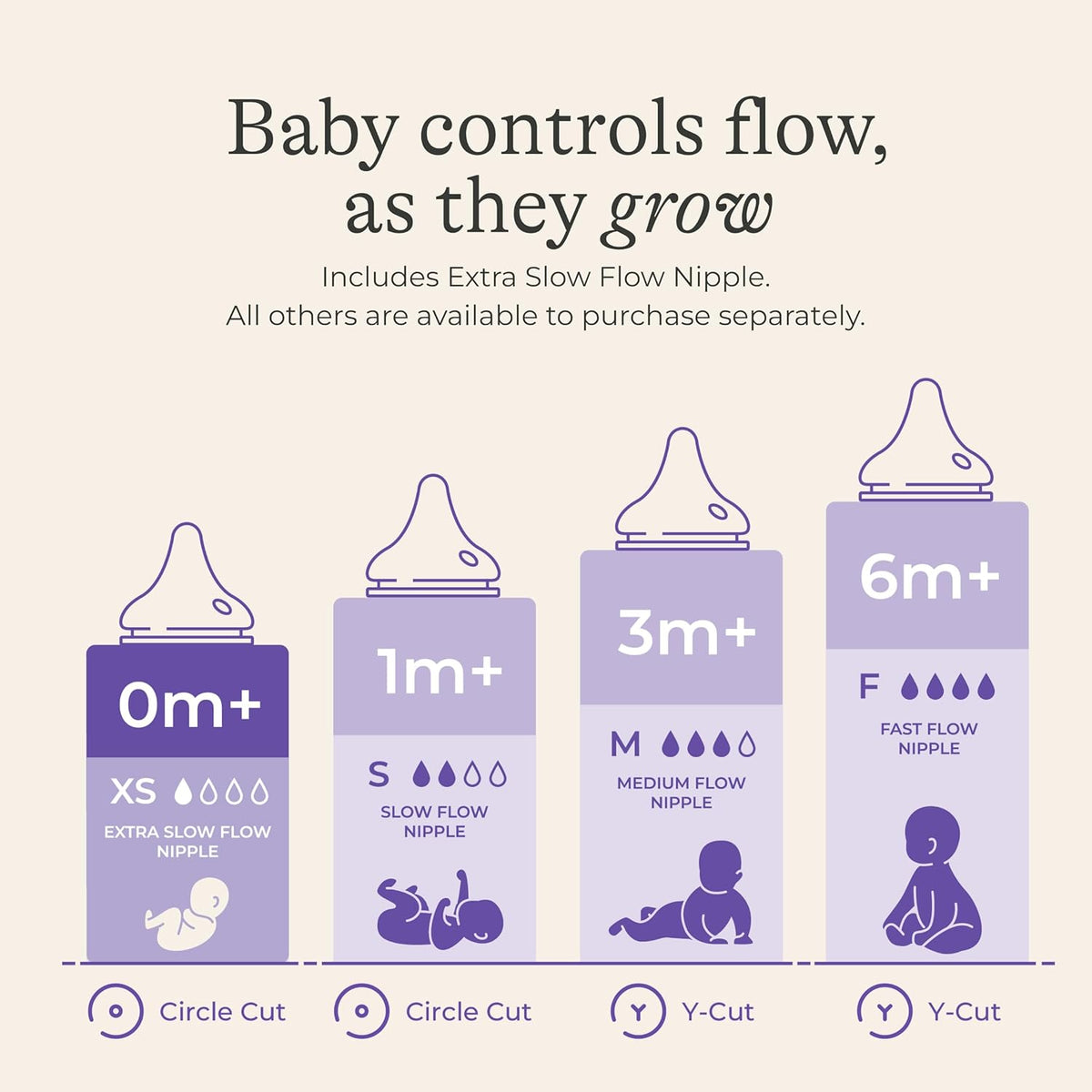 Lansinoh Anti-Colic Glass Baby Bottles, Purple Collar, 5 Ounces, 4 Count