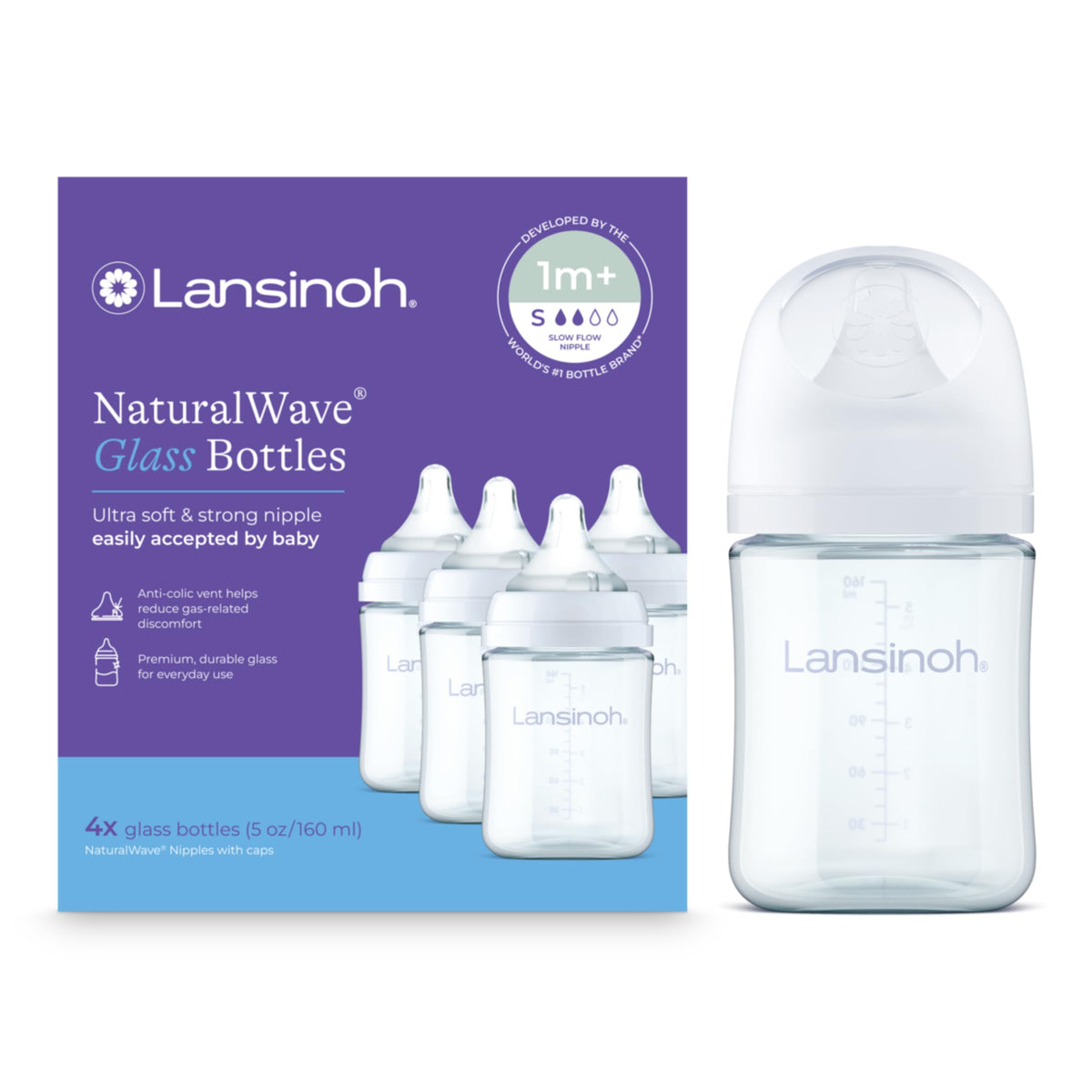 Lansinoh Anti-Colic Glass Baby Bottles, Purple Collar, 5 Ounces, 4 Count